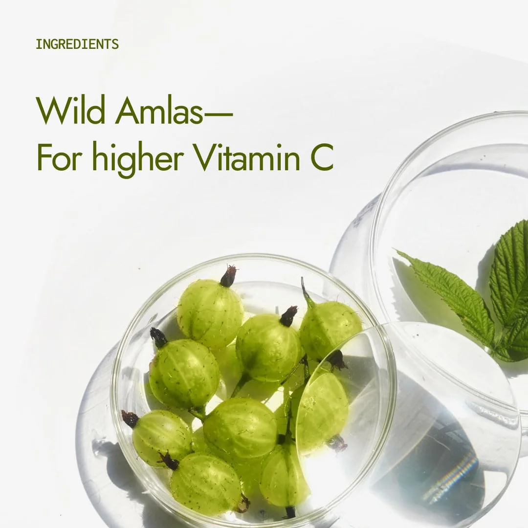 Kapiva Organic Amla Powder | Supports Healthy Hair & Gut Health | 100% Natural Amlas | Ayurvedic Daily Wellness image 3