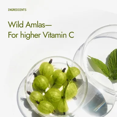 Kapiva Organic Amla Powder | Supports Healthy Hair & Gut Health | 100% Natural Amlas | Ayurvedic Daily Wellness thumbnail 2