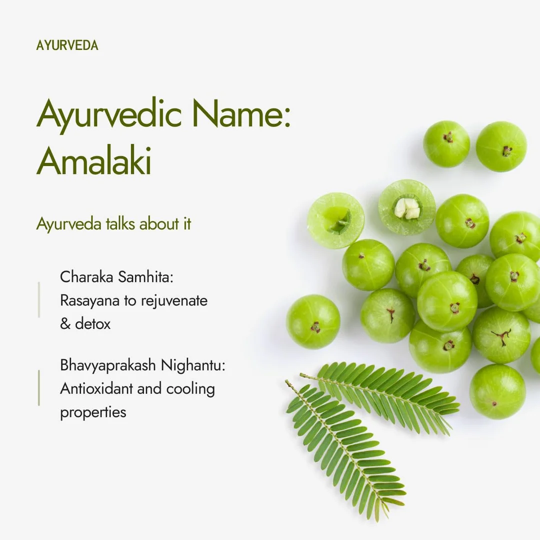 Kapiva Organic Amla Powder | Supports Healthy Hair & Gut Health | 100% Natural Amlas | Ayurvedic Daily Wellness image 7