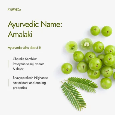 Kapiva Organic Amla Powder | Supports Healthy Hair & Gut Health | 100% Natural Amlas | Ayurvedic Daily Wellness thumbnail 6