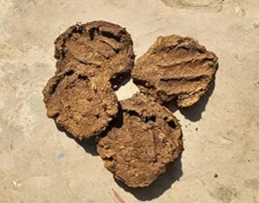 Cow Dung Cakes,|Gobar ke uple |goshte 5 piece image 2