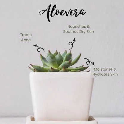 GLORIACE Pure Natural Aloe Vera Gel | Soothing & Hydrating & Cooling Multipurpose Gel | 100% Pure | No Parabens image 4