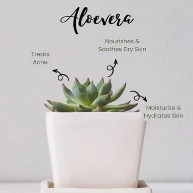 GLORIACE Pure Natural Aloe Vera Gel | Soothing & Hydrating & Cooling Multipurpose Gel | 100% Pure | No Parabens thumbnail 3