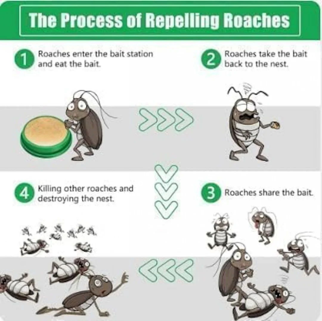 Cockroach Killer Gel Trap | Effective Roach Bait for Home & Kitchen image 2