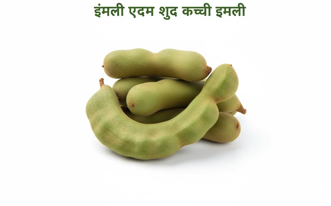 tamarind imparts an unmatched |zesty flavour to all your chutneys, sauces| and candies. Packed with purity and freshness |it brings a touch of natural and unique sourness to every dish. image 2