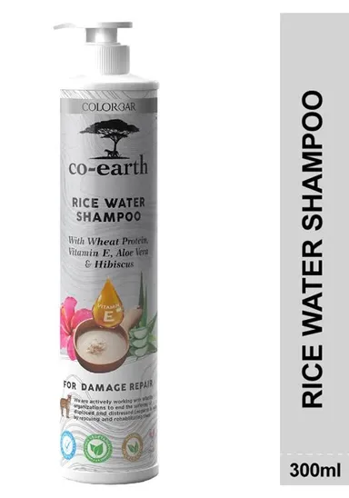 Rice Water Shampoo 300 ml with Rice Extract, Wheat Protein, Aloe Vera & Hibiscus for Hair Growth, Damage Repair| Hair Fall Control| Frizz Reduction & Scalp Hydration for All Hair Types thumbnail 1