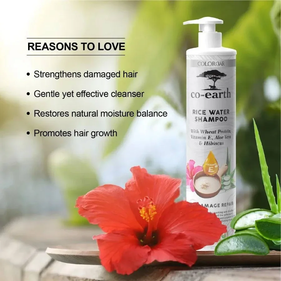 Rice Water Shampoo 300 ml with Rice Extract, Wheat Protein, Aloe Vera & Hibiscus for Hair Growth, Damage Repair| Hair Fall Control| Frizz Reduction & Scalp Hydration for All Hair Types image 3