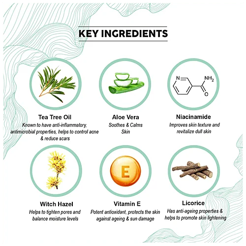 Co-Earth Tea Tree Face Moisturizer for Acne-Prone and Oily Skin | Oil Control Hydrating Non-Comedogenic Cream for Clear| Healthy Skin image 3