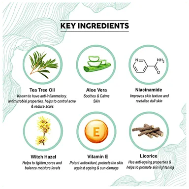 Co-Earth Tea Tree Face Moisturizer for Acne-Prone and Oily Skin | Oil Control Hydrating Non-Comedogenic Cream for Clear| Healthy Skin thumbnail 2