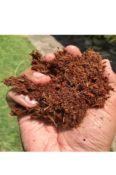 Premium Natural Cocopeat Growing Medium for Plants Gardening Hydroponics Seed Germination Soil Conditioner India thumbnail 0