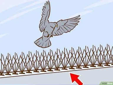 All Dimensions Bird Spike Anti Pigeon Control Spikes for Balcony Roof Ledge Window AC Outdoor Bird Deterrent Strip for Home Building Terrace thumbnail 2