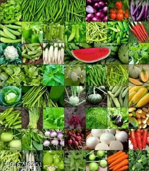 “Fresh Mixed Organic Vegetables Box – Tomatoes, Carrots, Okra, Brinjal, Cabbage, Cauliflower, Spinach, Watermelon, Pumpkin, Corn | Healthy Farm-to-Home Produce for Cooking, Juicing & Salad in India” image 1