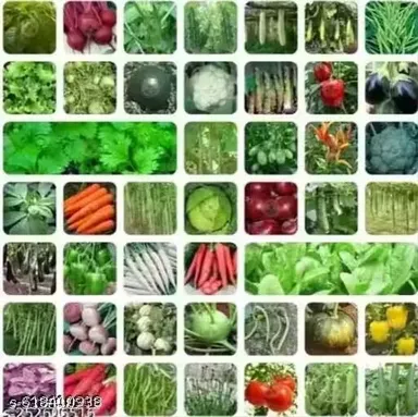 Fresh Mixed Vegetables Pack – Organic Assorted Carrots, Tomatoes, Cabbage, Beans, Leafy Greens, Gourds & Seasonal Veggies for Cooking, Salads & Healthy Meals thumbnail 0