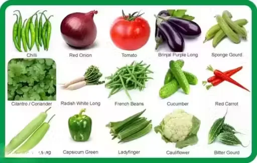 15 Vegetable Seed Varieties Home Garden Combo Pack with High Germination Organic Seeds for Balcony Pots Indoor Outdoor Gardening Kit image 1