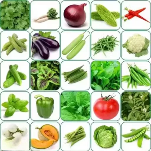yoguseeds Combo of 25 Variety Vegetable Seeds Multipack for Indoor |Outdoor Gardening with Instruction Manual image 1