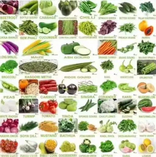 Premium 50 Varieties Vegetable Seeds Combo Pack for Home Gardening India | Kitchen Garden Starter Kit | Indoor |Outdoor Organic Vegetable Seed Multipack for Balcony Terrace Soil image 1