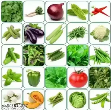 Fresh Assorted Vegetable Combo Pack with Leafy Greens, Root Vegetables, Gourds, Beans, Tomato, Onion, Chilli & Seasonal Farm Produce for Daily Cooking in India thumbnail 0