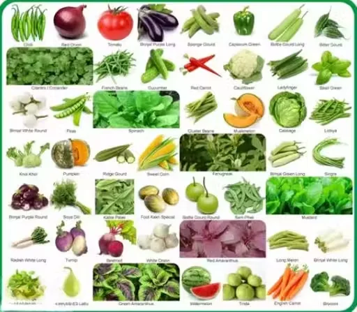 50 Variety Vegetable Seeds Combo Pack with Instruction Manual |Kitchen Garden Seed Set for Home Indoor Outdoor Gardening |Mixed Vegetable Seeds Collection for Balcony Pots and Backyard Growers image 1