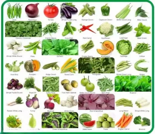 50 Variety Vegetable Seeds Combo Pack for Home Gardening with Instruction Manual for Kitchen Garden Terrace Balcony Indoor Outdoor Use image 1