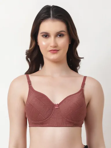 Pack of 3 Women’s Lightly Padded T-Shirt Bras 38B | Multicolor Seamless Soft Support Lingerie for Daily Wear  thumbnail 2