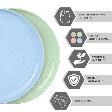 VibeZone 4 Piece Unbreakable Plastic Dinner Plate Set for Home |Picnic, Lightweight Reusable Plates |Bowls for Salad Pasta Cereal Party Camping Kitchen Use thumbnail 3