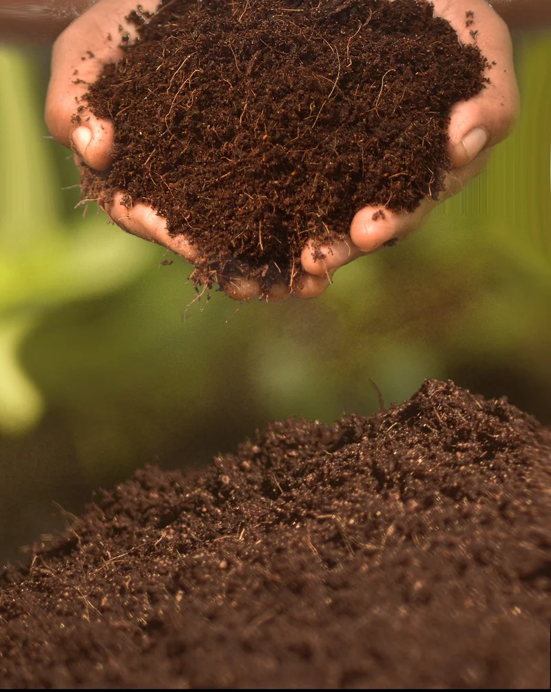 Cocopeat Block for Gardening & Hydroponics | High Water Retention| Organic Coconut Coir Growing Medium for Plants image 2