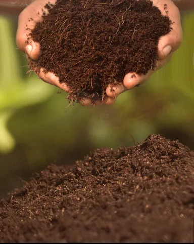 Cocopeat Block for Gardening & Hydroponics | High Water Retention| Organic Coconut Coir Growing Medium for Plants thumbnail 1