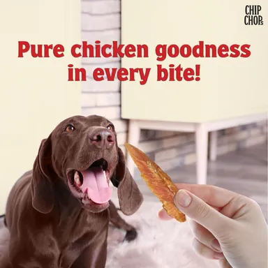 Chip Chops Dried Chicken Jerky Dog Trea|  Easily Digestible, Healthy Dog Treat, Perfect for Snacks, Suitable for All Dog Breeds Pack of 2| Each 70gm thumbnail 2