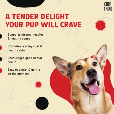 Chip Chops Dried Chicken Jerky Dog Trea|  Easily Digestible, Healthy Dog Treat, Perfect for Snacks, Suitable for All Dog Breeds Pack of 2| Each 70gm thumbnail 3