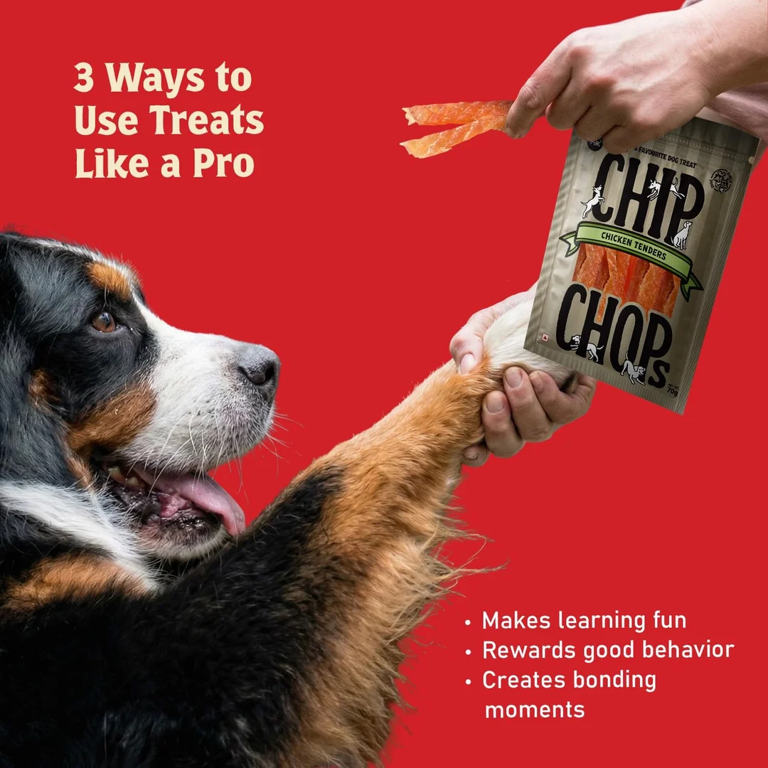 Chip Chops Chicken Tenders Slice Dog Treats | High Protein, Low Fat, Crunchy & Tasty Dry Treats | Optimum Health Formula, Healthy & Easily Digestible Snack for All Life Stages – 70g image 5
