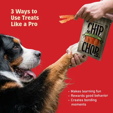 Chip Chops Chicken Tenders Slice Dog Treats | High Protein, Low Fat, Crunchy & Tasty Dry Treats | Optimum Health Formula, Healthy & Easily Digestible Snack for All Life Stages – 70g thumbnail 4