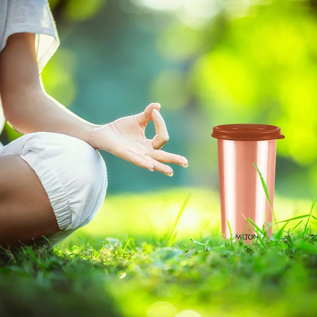 Milton Copper Drinking Water Tumbler with Lid 400 ml Leak Proof Travel Gym Office Yoga Home Kitchen Hiking Treking image 3