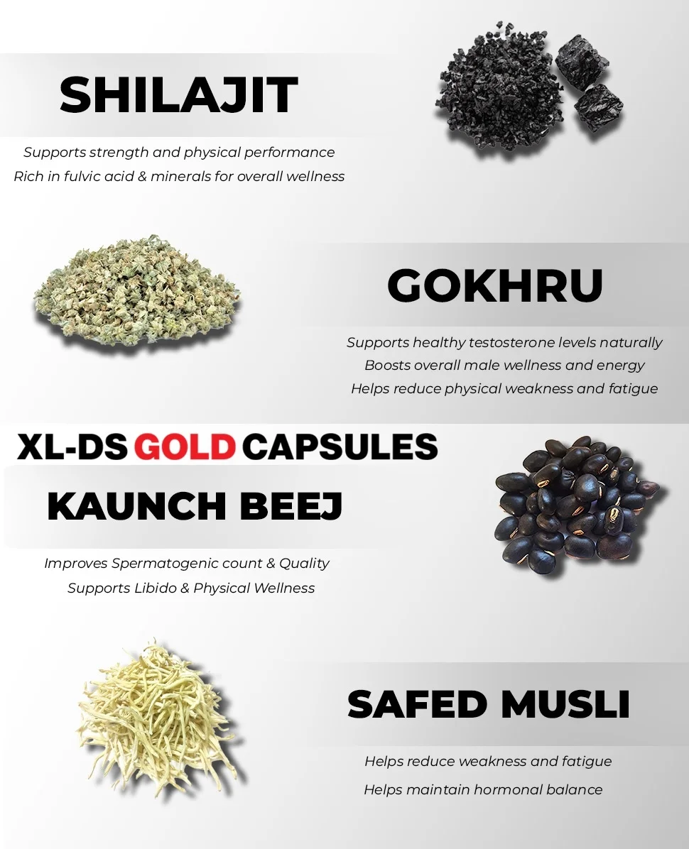 X Plus Gold Capsules for Men Ayurvedic Strength Stamina Vitality Booster with Ashwagandha Shilajit Safed Musli Gokshura Minerals Male Wellness Herbal Energy Supplement image 4