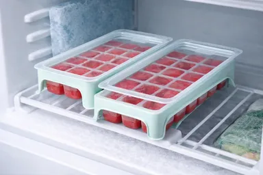 Mint Green Ice Cube Tray with Lid – Set of 2 Durable Plastic Freezer Mould for Ice Cubes, Juice & Baby Food Storage thumbnail 1
