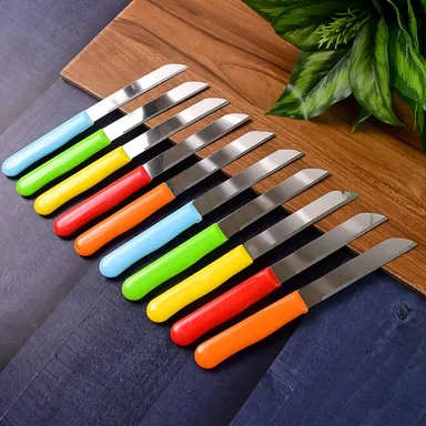 Premium Quality Stainless Steel Handle Plain Knife (10 Pc / 1 Set) thumbnail 0