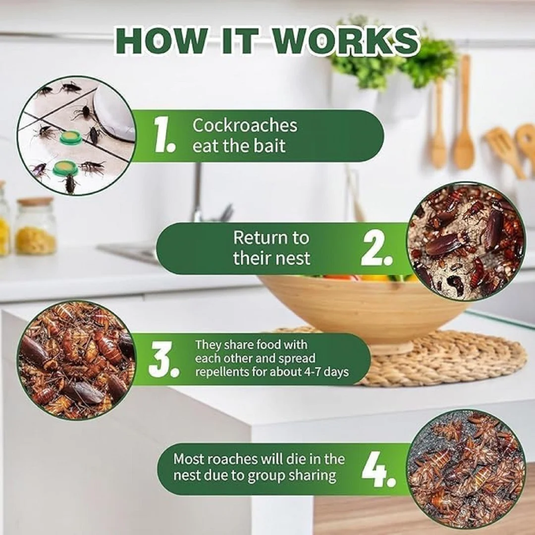 Cockroach Killer Bait Trap Gel Roach Repellent Pest Control Bait Box Sticky Cockroach Trap Kitchen Bathroom Insect Control Anti Roach Gel Trap for Home image 2