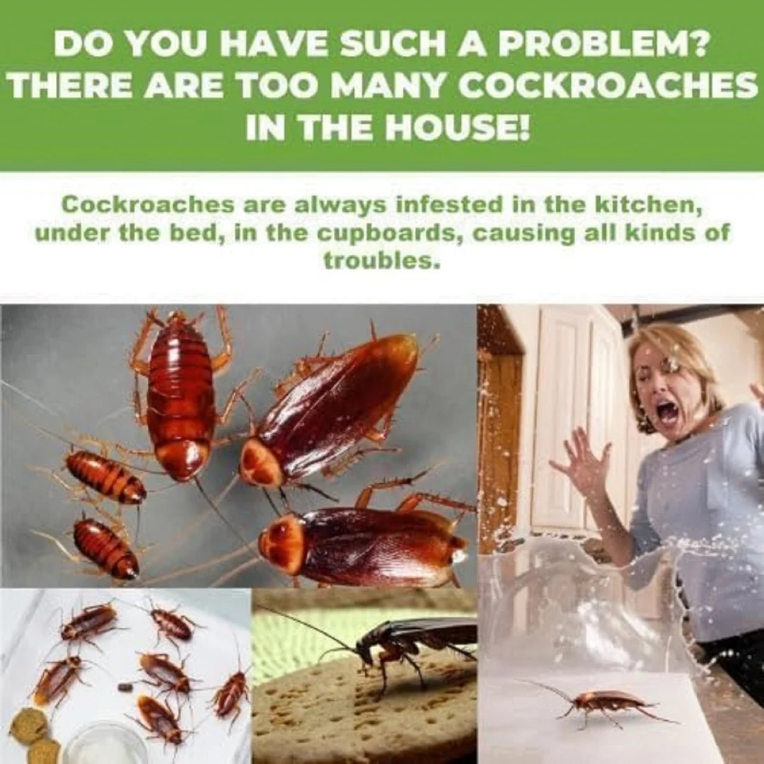 Cockroach Killer Bait Trap Gel Roach Repellent Pest Control Bait Box Sticky Cockroach Trap Kitchen Bathroom Insect Control Anti Roach Gel Trap for Home image 1