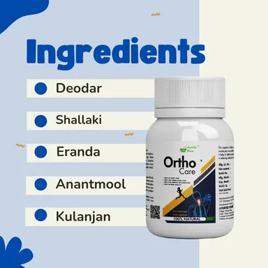 Ortho Care Capsule Ayurvedic Joint Pain Relief Supplement for Knee Pain Arthritis Back Pain Sciatica Cervical Stiffness Bone Cartilage Support Mobility Flexibility Capsule thumbnail 1