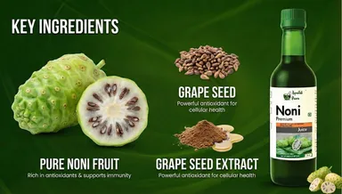 Premium Noni Juice Natural Morinda Citrifolia Fruit Health Drink for Immunity Detox Digestion Energy Booster Herbal Antioxidant Wellness Juice thumbnail 1