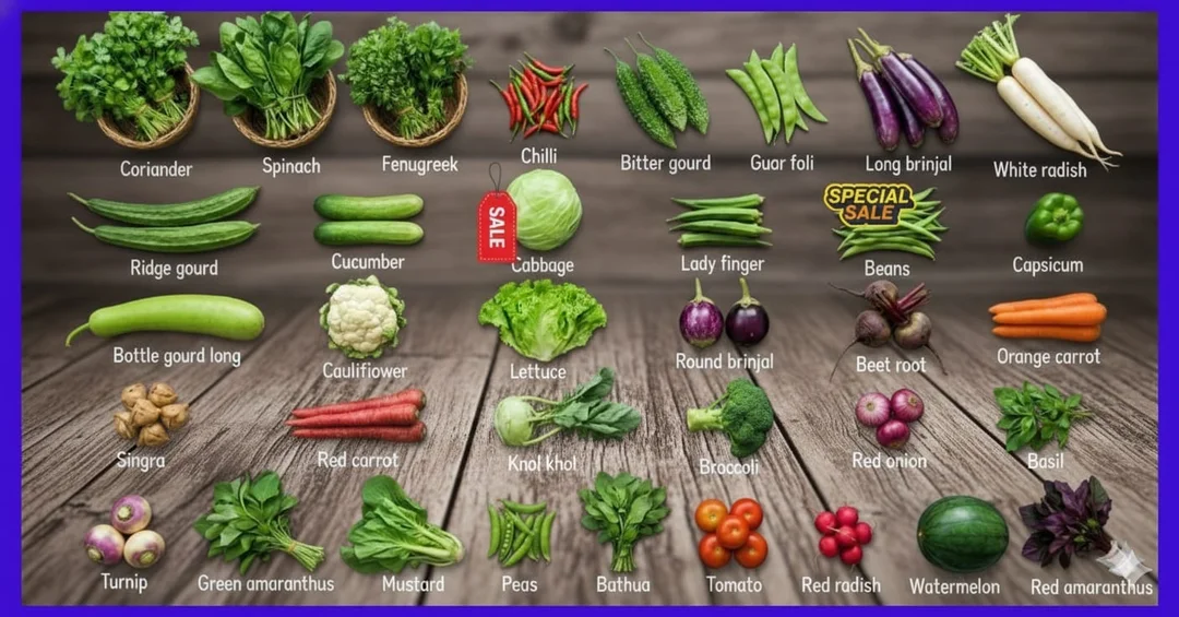 Vegetable Seeds Combo Pack for Home Kitchen Garden 30+ Variety Organic Vegetable Seed Kit Coriander Spinach Fenugreek Tomato Chilli Radish Carrot Beans Cucumber Peas Gardening Seeds India image 1