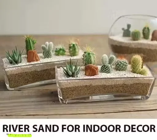 Glass Terrarium Bowl Planter for Succulent Plants, Indoor Mini Garden Glass Pot, Decorative Tabletop Terrarium Container for Home Office Desk Decor, DIY Plant Terrarium Vase image 4