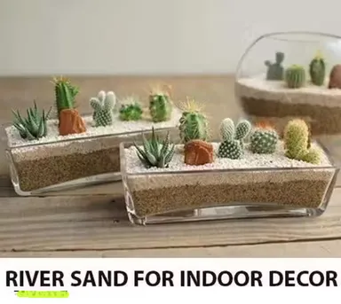 Glass Terrarium Bowl Planter for Succulent Plants, Indoor Mini Garden Glass Pot, Decorative Tabletop Terrarium Container for Home Office Desk Decor, DIY Plant Terrarium Vase thumbnail 3