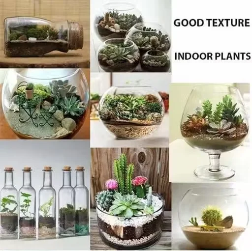 Glass Terrarium Bowl Planter for Succulent Plants, Indoor Mini Garden Glass Pot, Decorative Tabletop Terrarium Container for Home Office Desk Decor, DIY Plant Terrarium Vase image 1