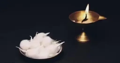 Cotton Round Pooja Batti Pack of 1100 Ready Made Diya Wicks for Puja Aarti Temple Use White Cotton Jyot Batti for Oil Lamp Diwali Navratri Mandir Deepak Wick image 4