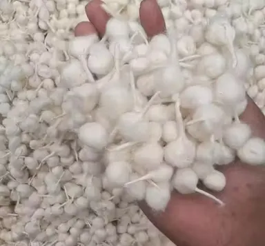Cotton Round Batti for Diya Pack of 1000 Ready to Use Puja Wick for Oil Lamp Mandir Deepak Cotton Wick for Temple Aarti Festival Diwali Puja Samagri thumbnail 1