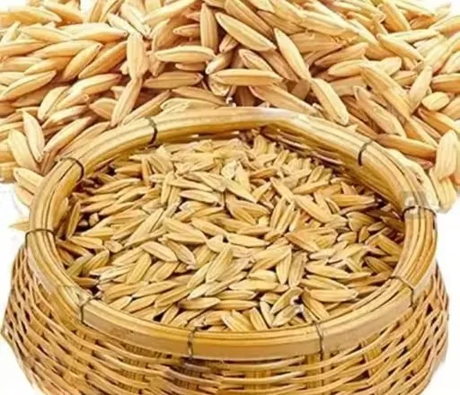 Premium Natural Paddy Rice Grains for Puja Havan Kalash Decoration Raw Dhan Unhusked Rice for Hindu Rituals Temple Offerings Vastu Puja Ceremony Use image 1