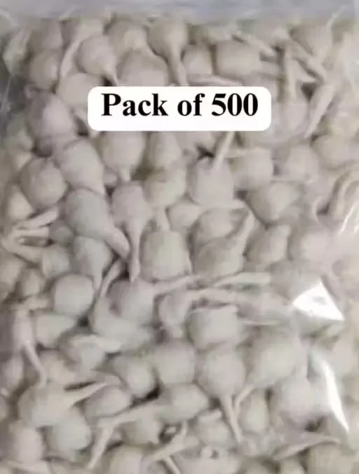 Cotton Wick Diya Batti Pack of 500 Pure Cotton Handmade Puja Jyot Batti for Diwali Aarti Mandir Oil Lamp Cotton Wicks for Temple Pooja Deepak Batti image 1