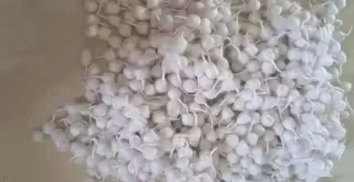 Cotton Diya Batti 500 Pieces Pack Puja Cotton Wicks for Oil Lamp Mandir Aarti Deepak Wick for Temple Prayer Festival Diwali Puja Samagri image 4