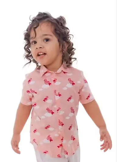 Kids Boys Peach Bird Print Cotton Half Sleeve Casual Shirt Summer Breathable Button Down Children Party Wear Stylish Printed Shirt for Boys Age 2–8 Years Kids Boys Peach Bird Print Cotton Half Sleeve Casual Shirt Summer Breathable Button Down Children P thumbnail 2