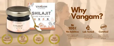Vangam Pure Himalayan Shilajit Resin 20g Natural Ayurvedic Energy Booster for Men Stamina Strength Immunity Testosterone Support Original Shilajit India thumbnail 1